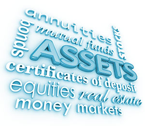 Asset Check - Asset Search Now